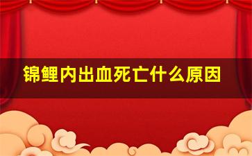 锦鲤内出血死亡什么原因