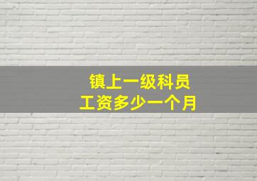 镇上一级科员工资多少一个月