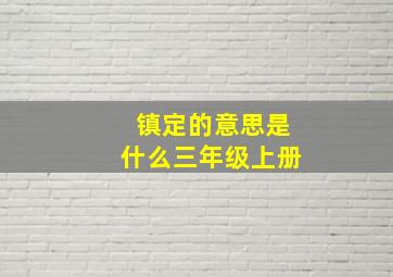 镇定的意思是什么三年级上册