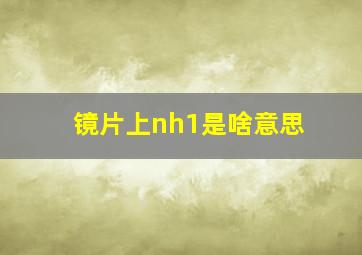 镜片上nh1是啥意思