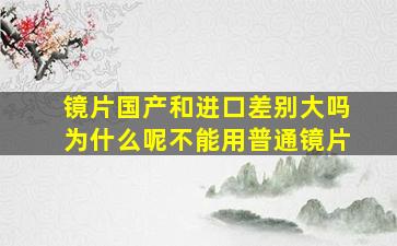 镜片国产和进口差别大吗为什么呢不能用普通镜片