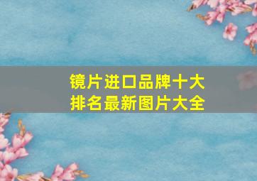 镜片进口品牌十大排名最新图片大全