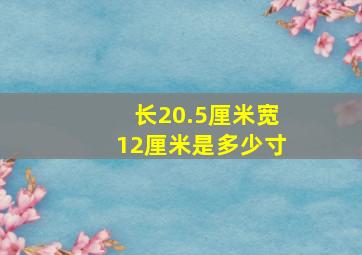 长20.5厘米宽12厘米是多少寸