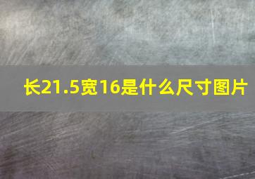 长21.5宽16是什么尺寸图片