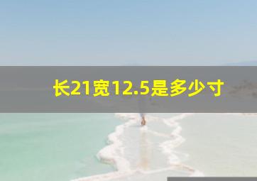 长21宽12.5是多少寸