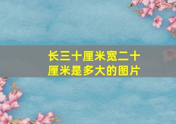 长三十厘米宽二十厘米是多大的图片