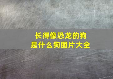 长得像恐龙的狗是什么狗图片大全