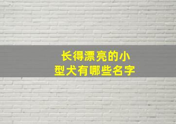 长得漂亮的小型犬有哪些名字