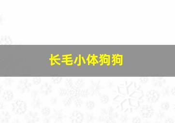 长毛小体狗狗