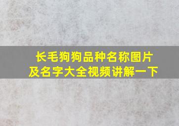 长毛狗狗品种名称图片及名字大全视频讲解一下