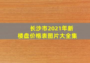 长沙市2021年新楼盘价格表图片大全集