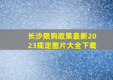 长沙限购政策最新2023规定图片大全下载