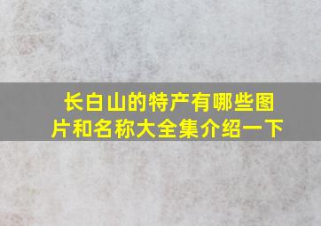 长白山的特产有哪些图片和名称大全集介绍一下