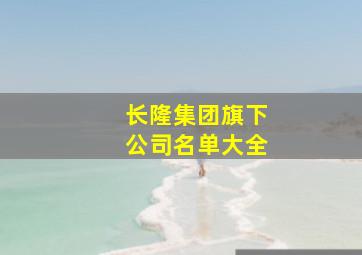 长隆集团旗下公司名单大全