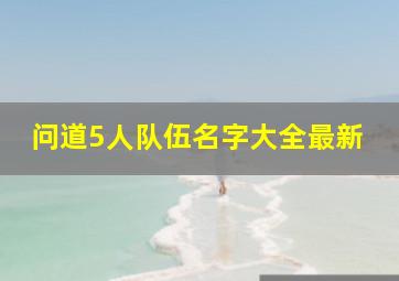 问道5人队伍名字大全最新