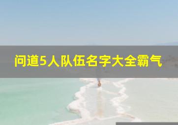 问道5人队伍名字大全霸气