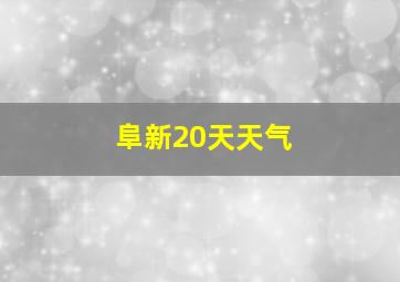 阜新20天天气