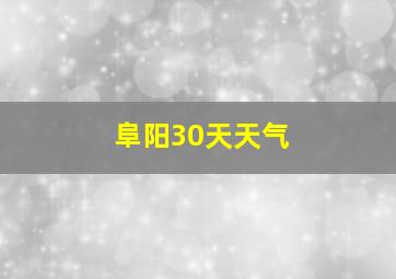 阜阳30天天气