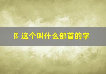 阝这个叫什么部首的字