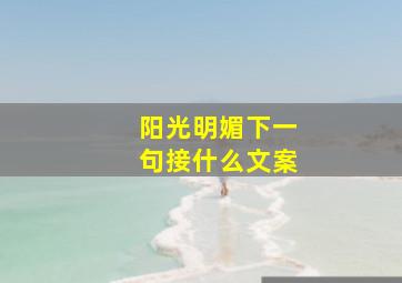 阳光明媚下一句接什么文案