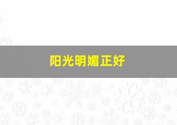 阳光明媚正好