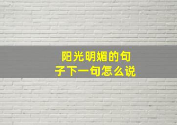 阳光明媚的句子下一句怎么说