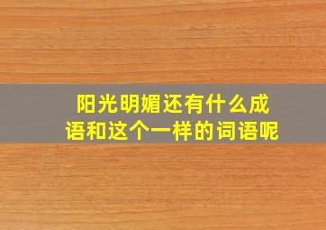 阳光明媚还有什么成语和这个一样的词语呢