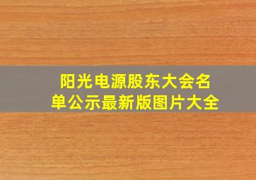 阳光电源股东大会名单公示最新版图片大全