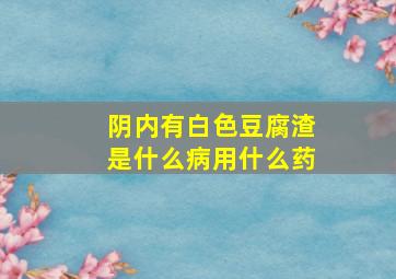 阴内有白色豆腐渣是什么病用什么药