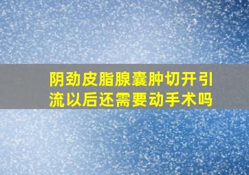 阴劲皮脂腺囊肿切开引流以后还需要动手术吗