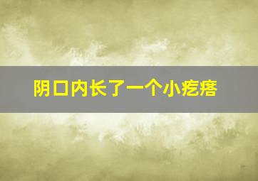 阴口内长了一个小疙瘩