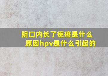 阴口内长了疙瘩是什么原因hpv是什么引起的