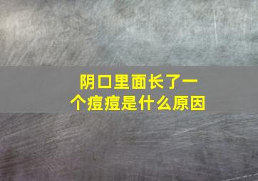 阴口里面长了一个痘痘是什么原因