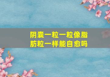 阴囊一粒一粒像脂肪粒一样能自愈吗