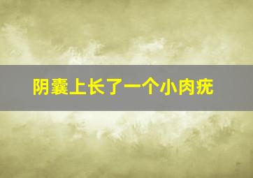 阴囊上长了一个小肉疣