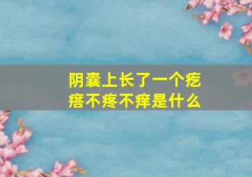 阴囊上长了一个疙瘩不疼不痒是什么