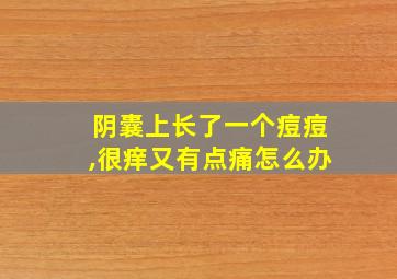 阴囊上长了一个痘痘,很痒又有点痛怎么办