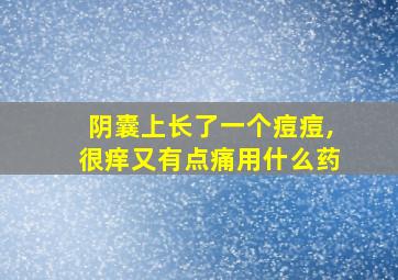 阴囊上长了一个痘痘,很痒又有点痛用什么药