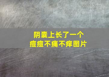 阴囊上长了一个痘痘不痛不痒图片