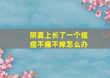 阴囊上长了一个痘痘不痛不痒怎么办