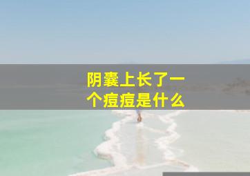 阴囊上长了一个痘痘是什么