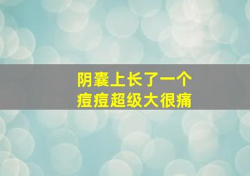 阴囊上长了一个痘痘超级大很痛