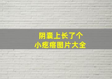 阴囊上长了个小疙瘩图片大全