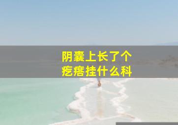 阴囊上长了个疙瘩挂什么科