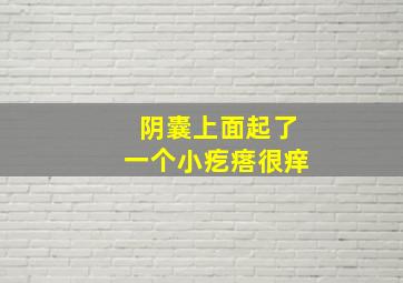 阴囊上面起了一个小疙瘩很痒