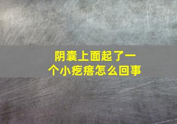 阴囊上面起了一个小疙瘩怎么回事