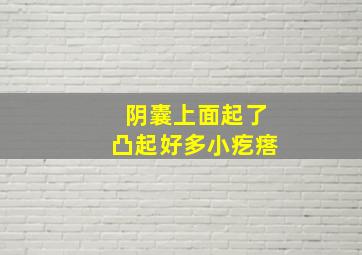 阴囊上面起了凸起好多小疙瘩