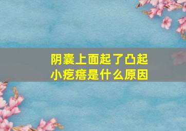 阴囊上面起了凸起小疙瘩是什么原因