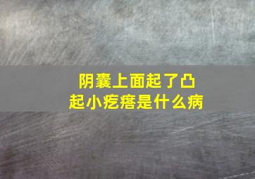 阴囊上面起了凸起小疙瘩是什么病