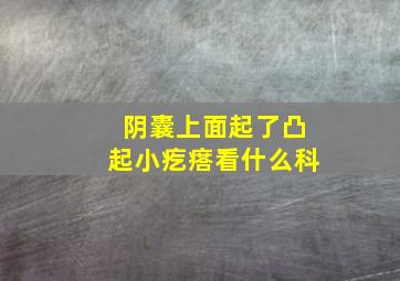 阴囊上面起了凸起小疙瘩看什么科